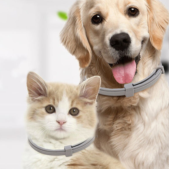 Collar Antipulgas para Perros y Gatos 🇪🇨 ENVÍO GRATIS ECUADOR 🇪🇨